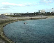 トロピカルビーチ４