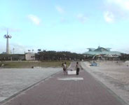 トロピカルビーチ６