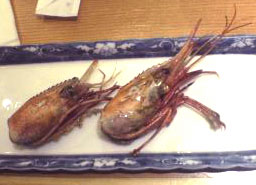 銀海ぶどうえび２