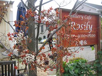 画像 2011リース.JPG