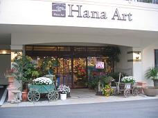 画像 275hana.JPG