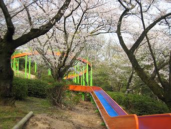 画像 751滑り台.JPG
