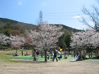 画像 258アスレチック.JPG