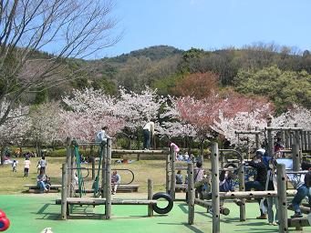 画像 262アスレチック.JPG