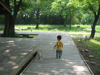 犬散歩１.JPG