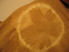 画像 340松ぼっくり.JPG