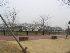 はるひ　五条川.JPG