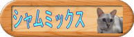 にゃんだふるカーニバル♪バナー