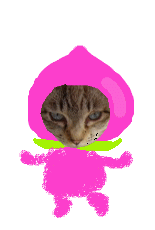 フルーツ大会♪