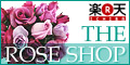 THE ROSE SHOP