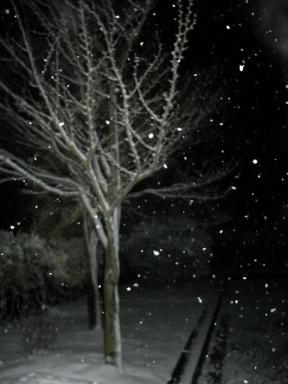 雪景色３.JPG