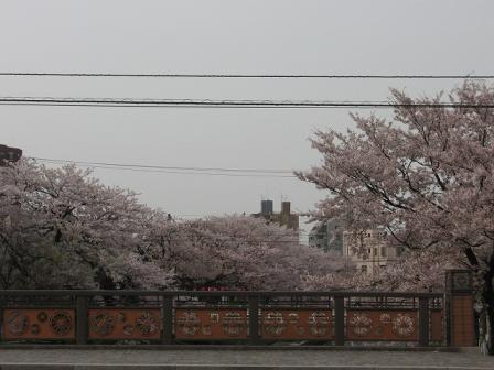 IMG_0776橋と桜.jpg