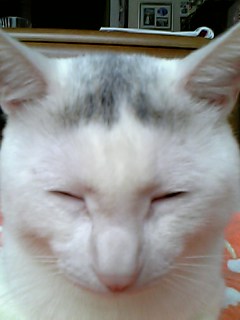 ＺＺｚｚｚ・・・