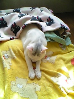 じわじわと・・・