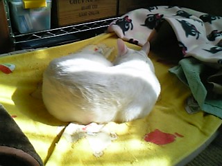 じわじわと・・・