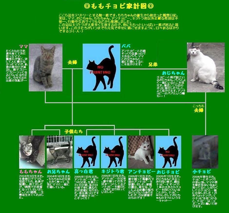 ももチョビ家計図