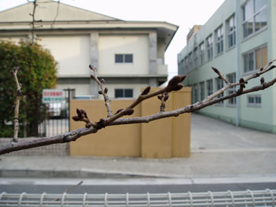 20060225-2