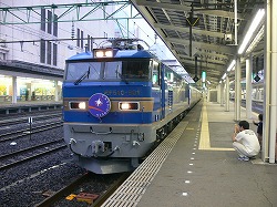 EF510 037.jpg