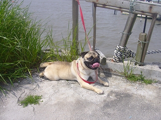 P1000134.jpg
