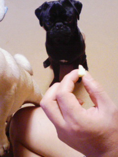 200712032204001.jpg