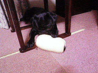200708292043000.jpg