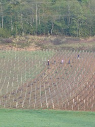 20090502タカムラ　ブーズロン