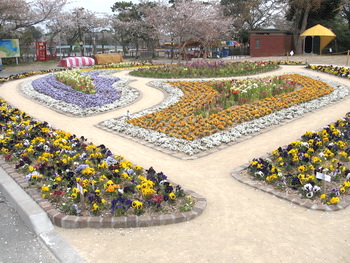 Flower beds.jpg