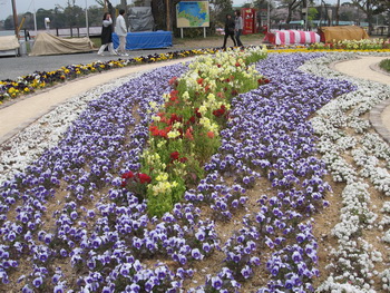 Flower beds(2).jpg