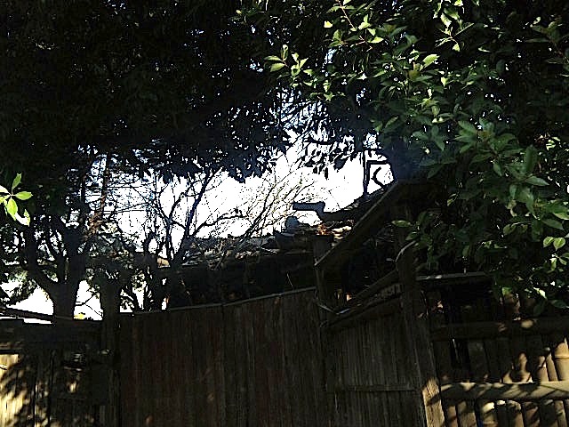 120104_133914.jpg