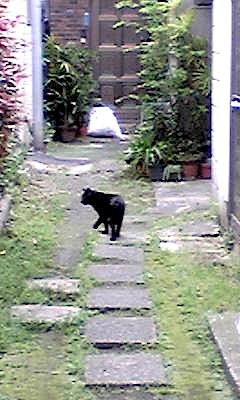 080416_132824.jpg