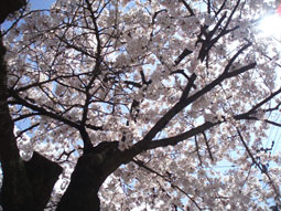 080412b.jpg