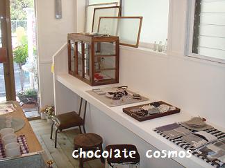 chocolatecosmos 001.JPG