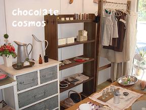 chocolatecosmos 002.JPG