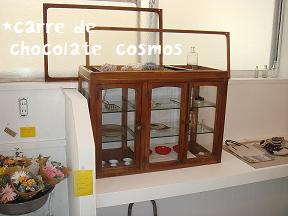 chocolatecosmos 003.JPG