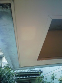 F1001906.JPG