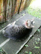 2009081312450000.jpg
