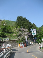 山梨県境