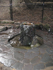 裏ヤビツの湧き水（奥側）