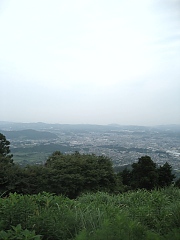 菜の花台から海は見えない