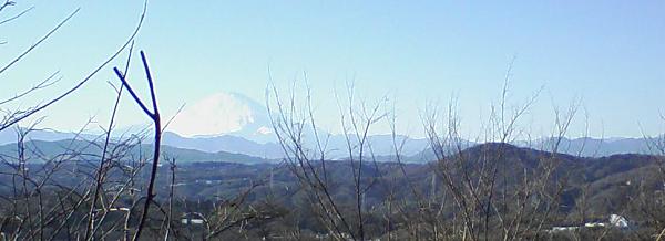 湘南平から見える富士山