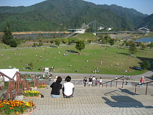 芝生は賑やか