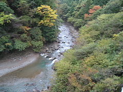 川の水がとてもきれい