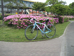 運動公園その2