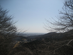 七沢林道からの景色