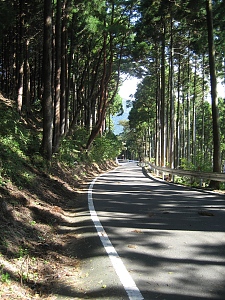 山道