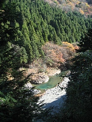 イワナかヤマメが居そうなプール