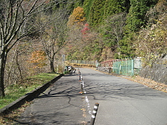 先週休んでしまった青宇治橋