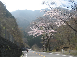 奥多摩周遊道路下り