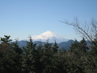 菜の花台から見える富士山　11/30