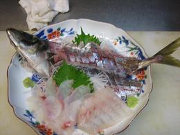 IMG_1184.jpg